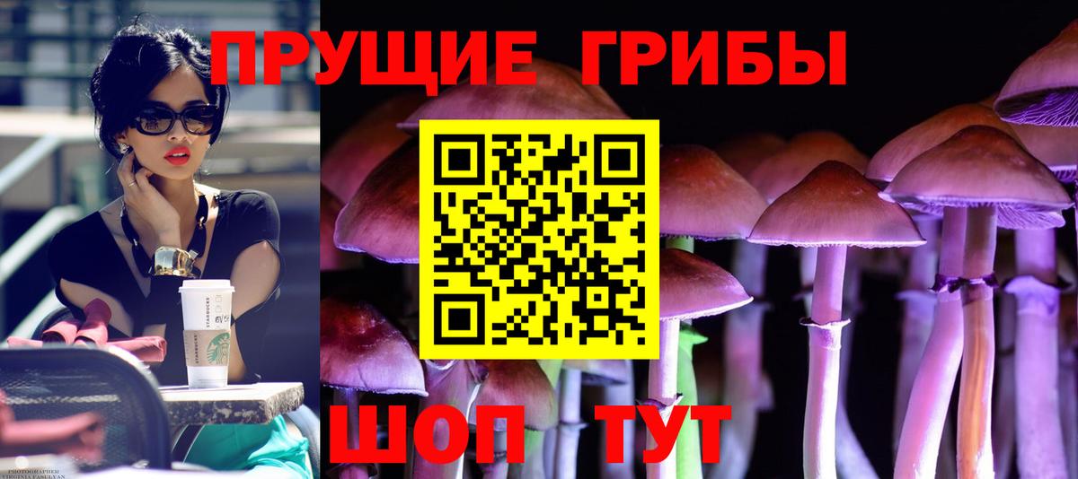 Галлюциногенные грибы ЛСД  Вход с VPN  Галлюциногенные грибы Magic Shrooms  Моршанск 